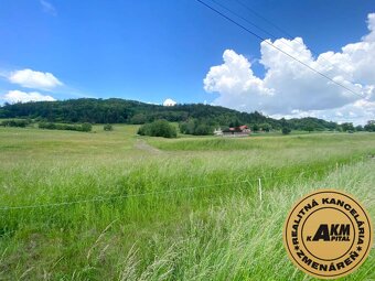 Pozemok na predaj, 13 237 m2 Slatinské Lazy, okres Detva - 10