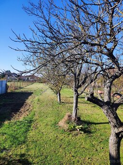 RD s krásnou záhradou Ludanice - 10