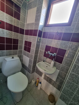 DOMČEK a POZEMOK 732 m2 + SAD 686 m2 RUDNÍK KOPANICE- MYJAVA - 10