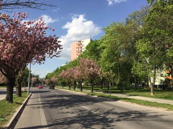 Na prenájom 3 izbový byt Trenčín, Soblahovská ul. - 10