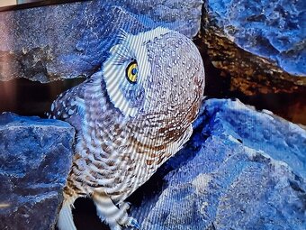 Predám Smart LED TV Medion 92947 Full HD s Android aj Wi-Fi - 10