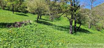 Ovocný sad s možnosťou výstavby s jedinečným výhľadom na - 10