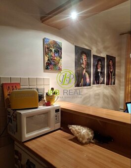 Zrekonštruovaný a zariadený 1-izb. byt na Bartoškovej ul. v - 10