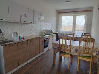 Ubytovňa KARPATIA Šaštín Stráže - 10