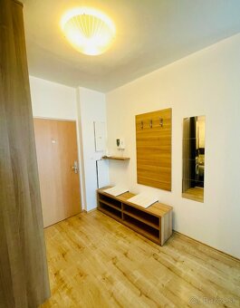 Na prenájom 2i PET Friendly byt na Bratislavskom Vtáčniku - 10