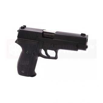 AW Custom SIG SAUER P226 GBB - 10
