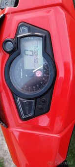 CPI ARAGON PAADOCK - 10
