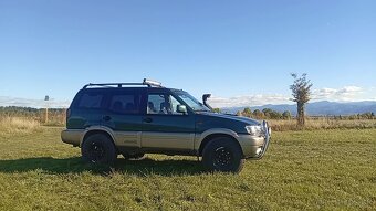 Terrano - 10