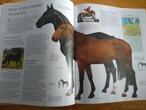Obrazová encyklopedie koní (česky) - 20 eur - 10