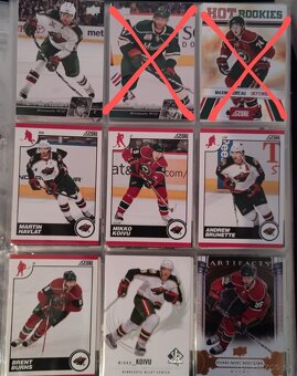 Hokejové kartičky Minnesota Wild - 10