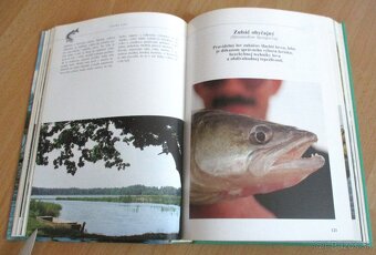 Rybárstvo – Lov dravých rýb na prívlač - 10