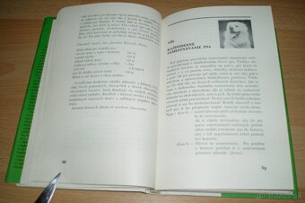 Slovenský čuvač - 10