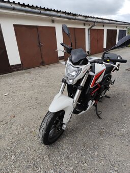 Benelli bn 251 - 10