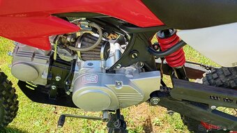 Pitbike Ranger 125 cc 17/14 - 10
