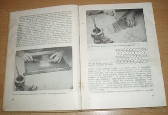 Chov včelích matiek - 10