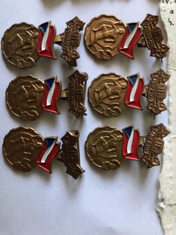 Výkonnostné odznaky žiactvo BPPOV - 10