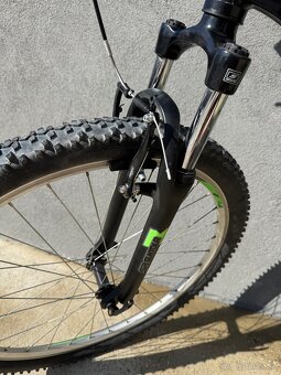 Kellys viper 10 - 10