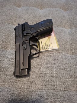 Sig Taurus Ruger CZ - 10