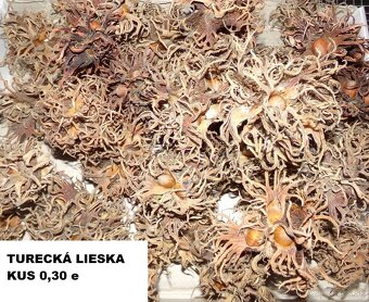 SUŠENÉ KVETY, ŠIŠKY , ŹALUDE, LIESKA, GAŠTAN do dekorácií - 10