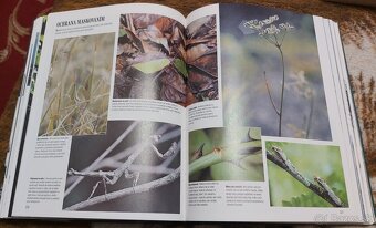 ZVIERATÁ, RASTLINY, RYBÁRSTVO, KUTIL... - 10