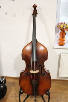 predám violončelá, kontrabasy - 10