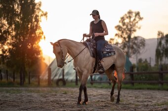 tréning koní - obsadanie - 10