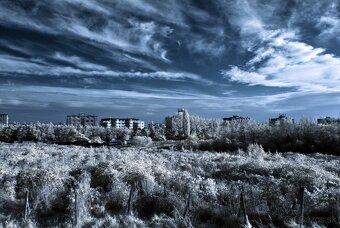 Olympus E-M1 - po IR konverzii 720 nm - 10