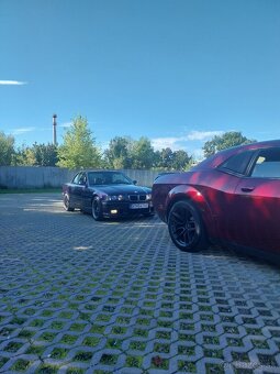 Bmw e36 320i cabrio paul klee - 10