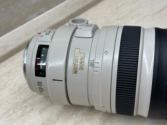 Canon 100-400mm f/4.5-5.6L IS II USM - 10