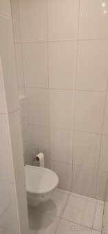 1-izbový byt po kompletnej rekonštrukcii - 10