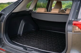 Toyota RAV4 2.5 Executive Hybrid - 10