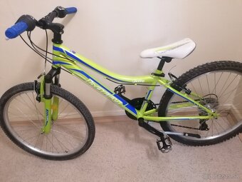 Horský bicykel 24 - 10