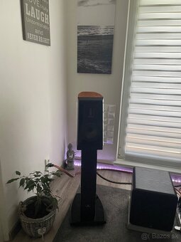 Aurum Cantus V2M - 10