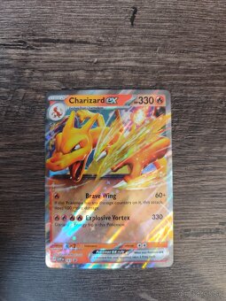Pokémon - 10