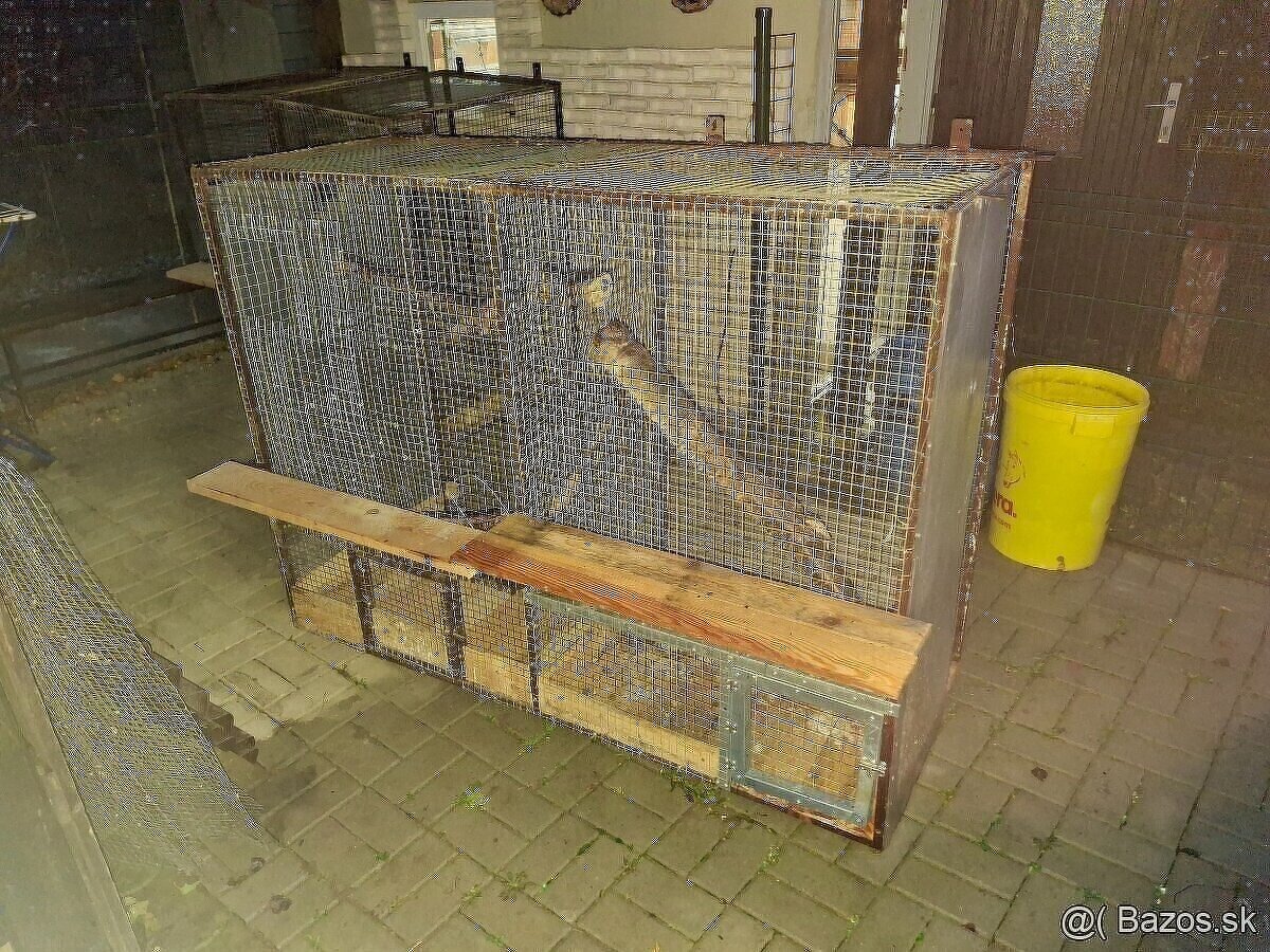 Voliery klietky 6ks - 11