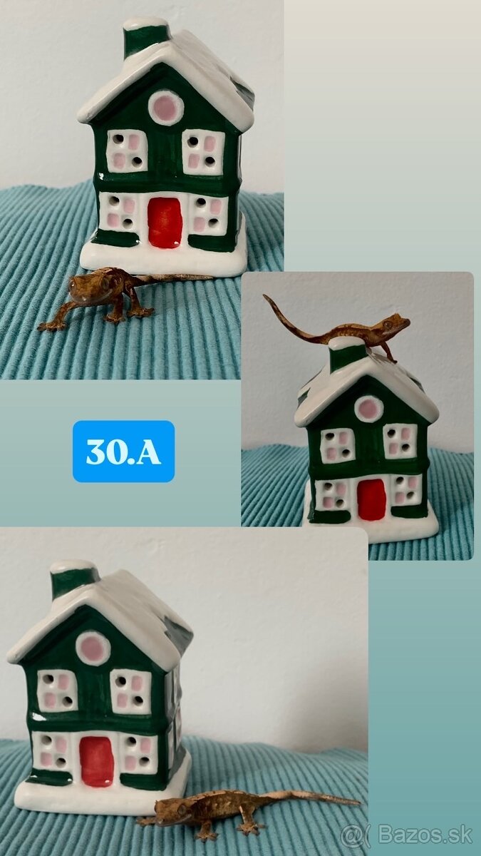 Pagekon riasnaty - 11