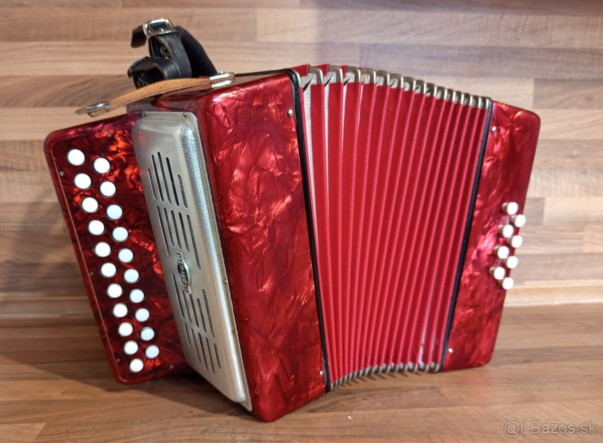 Akordeon, harmonika, heligonka - 11