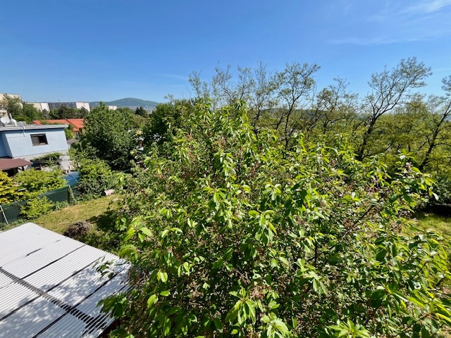 Veľký rodinný dom na Čermáni, bývanie aj podnikanie - 11