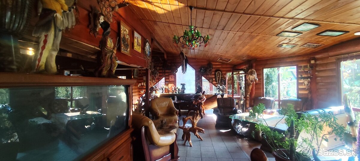 Predaj penziónu a chaty dražbou v obci Vinné - 11