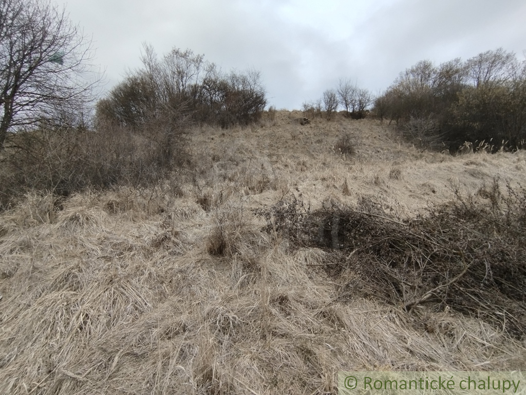 Rozľahlý pozemok so starším domom v Hornej Štubni (2714 m² - 11