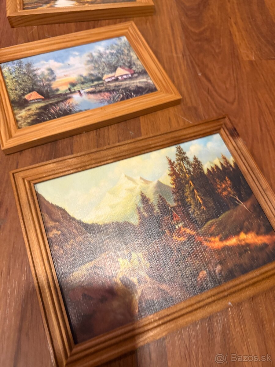 9 obrazov v drevených rámoch - 11