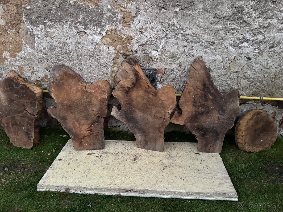 Orechove rezivo - 11