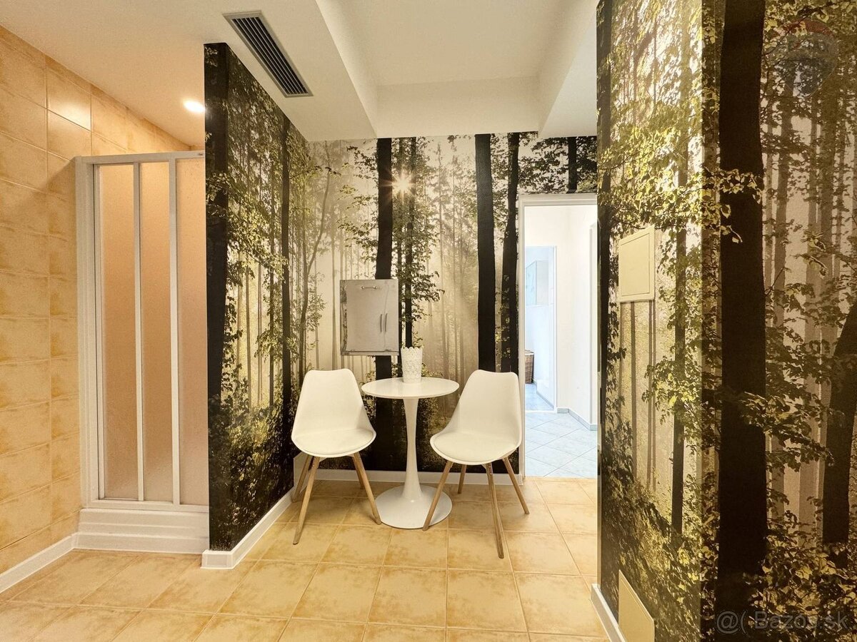 Predaj nebytového priestoru v centre Dunajskej Stredy, rozlo - 11