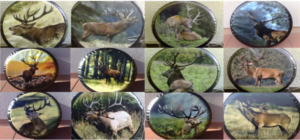 Kryt rezervy kolesa - 11