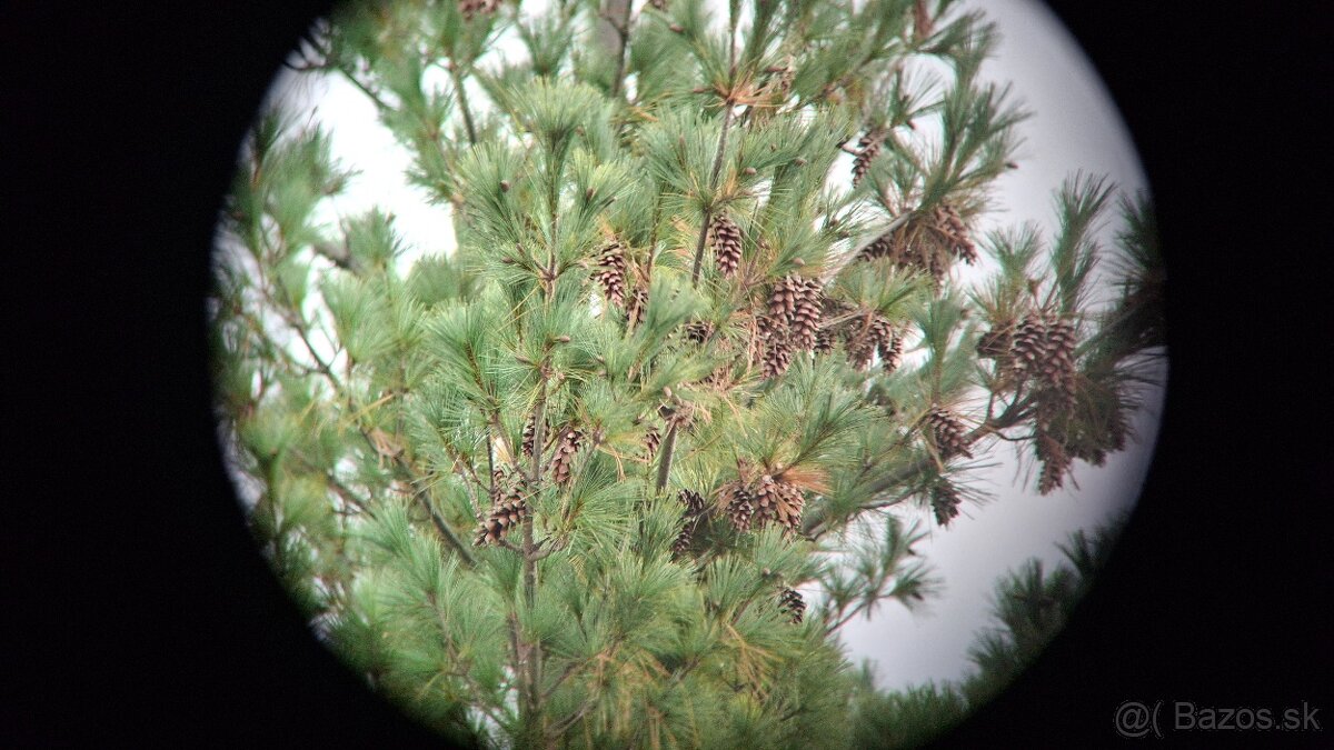 Ďalekohľad BPC 15X50 SOTEM - 11