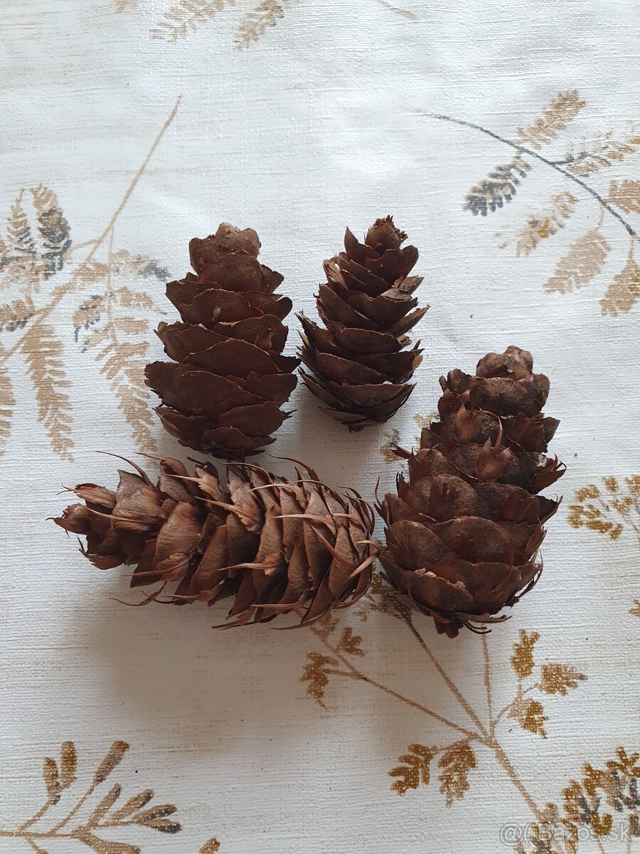 Vetvicky a sisky na adventne vence / dekoracie - 11