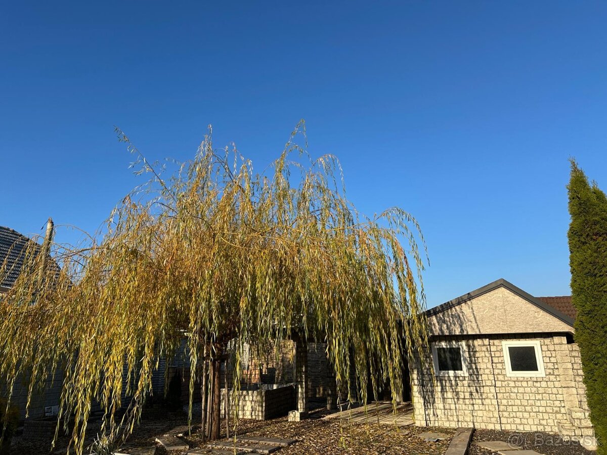 Prenájom novšieho Rodinného domu - 11