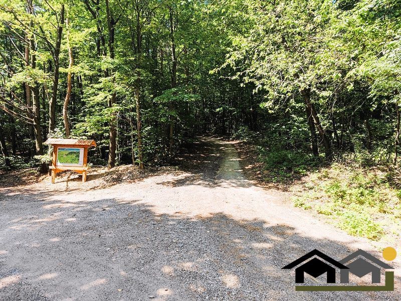 PREDAJ ZÁHRADY, KOLÍŇANY, 617 m² - 11