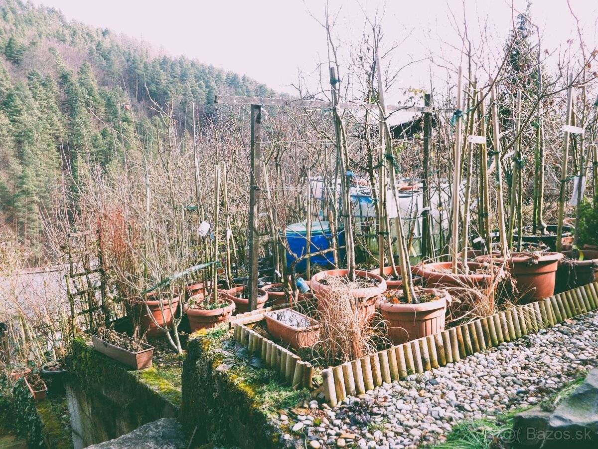 Na predaj pozemok - záhrada, 290 m2, Banská Bystrica - 11