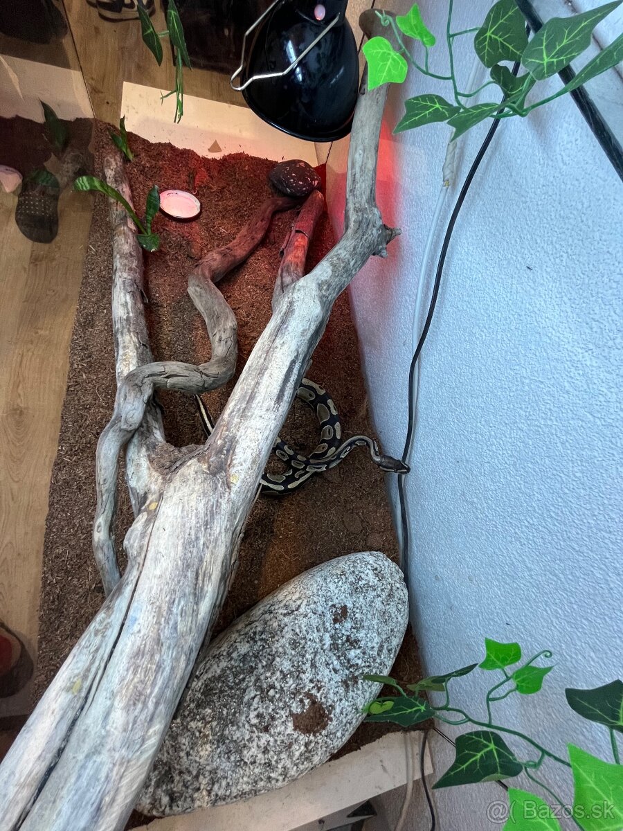 Ručne robená teraristická zostava / Terárium - 11